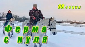 Рекордные морозы / Строим дом для Умки / Много снега / Ферма с нуля серия 68
