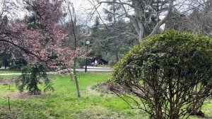 Ялта. Сквер им.Некрасова, от ул.Садовой до набережной им.В.И.Ленина. Ресторан на набережной. 25.03.2