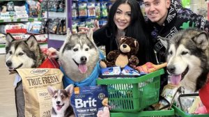 ПОКУПАЮ ВСЕ ДО ЧЕГО ДОТРОНУТЬСЯ МОИ СОБАКИ!!!!