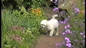 Москва Тимченко Архангельск Дача