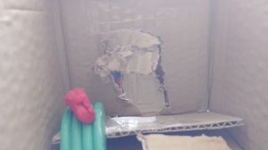 5 ночей с Тимохой (1.2.3.4.5;ночей:+ хоррор, хороший "конец