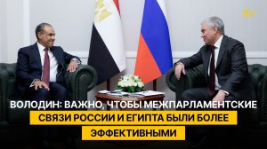 Володин: важно, чтобы межпарламентские связи России и Египта были более эффективными