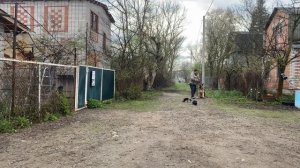 Немецкая овчарка 9 месяцев Скай! Будни дрессировки!