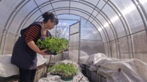 Пора все выносить из дома. Сломала свой рабочий инструмент. Жизнь в деревне.