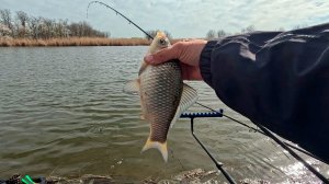 Рыбалка на карася и другую мирную рыбу