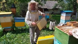 Пчеловодство № 108 Снимаем вторые корпуса. Безроевой метод. Результат.