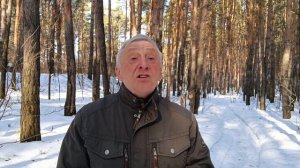 В. Набоков "К России" ("Отвяжись, я тебя умоляю...")