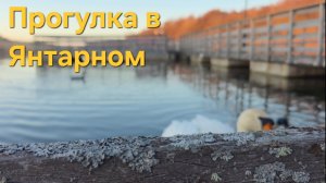 Прогулка на закате в Янтарном. Калининградская область