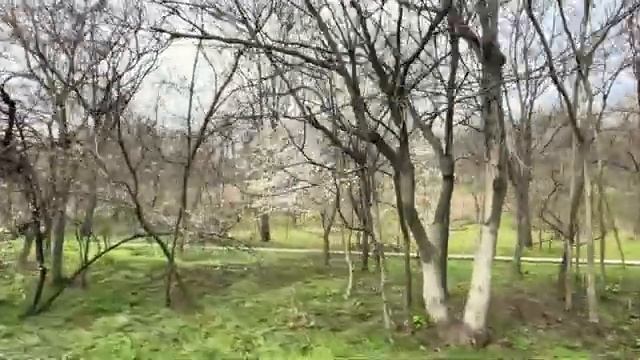 ОДЕССА 3 АПРЕЛЯ 2026. ТЦК-ШНИКУ ПЕРЕРЕЗАЛИ Г0РЛО. ДРУГИМ ТЦК ДАЛИ ПИНДЮЛЕЙ ЦЕПЛЬЮ. РЕАКЦИЯ ОДЕССИТОВ