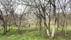 ОДЕССА 3 АПРЕЛЯ 2026. ТЦК-ШНИКУ ПЕРЕРЕЗАЛИ Г0РЛО. ДРУГИМ ТЦК ДАЛИ ПИНДЮЛЕЙ ЦЕПЛЬЮ. РЕАКЦИЯ ОДЕССИТОВ