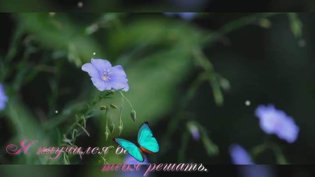 Я научился без тебя решать.