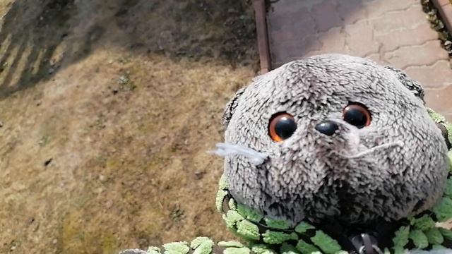 весенний влог с вискасом