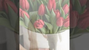 Алексей Романюта  Желанная