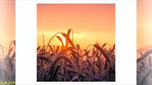 Yakuro - Hymn Of Moon