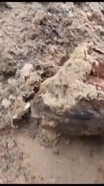 Хабар в немецкой ячейке #shortsvideo #ww2 #digging (720p)