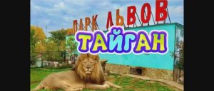 Парк львов "Тайган", Крым. Часть 1 - Львы