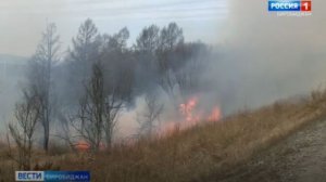 Два очага возгорания зафиксированы на территории государственного лесного фонда в Октябрьском МР