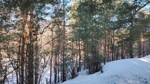 Что значит реализоваться?