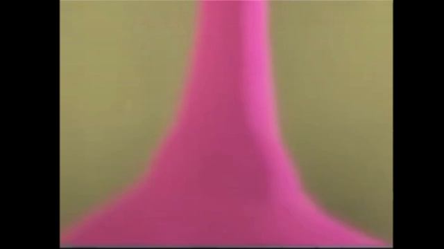 Розовый гусь.mp4