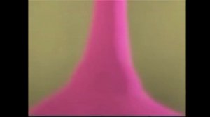 Розовый гусь.mp4