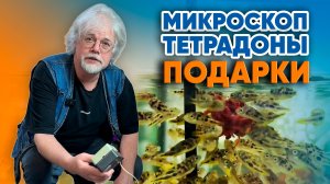 Аквариумные истории из ЭКЗОМЕНЮ (03.04.2026). Микроскоп. Тетрадоны. ПОДАРКИ!