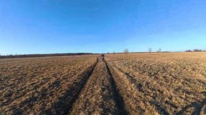 Часовой Маршрут Лайт