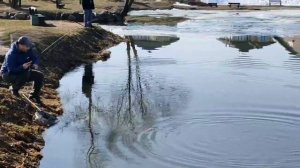 поимка форели на блесну