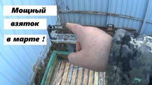 Мощный взяток в марте !