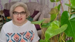 4 часть. НАРУШЕНИЕ правил съёмки❗️Мясо 🍖 для кучи❗️