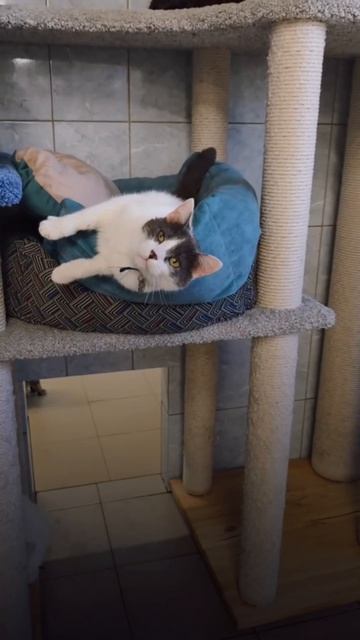 Осторожно: режим повышенного кайфа!