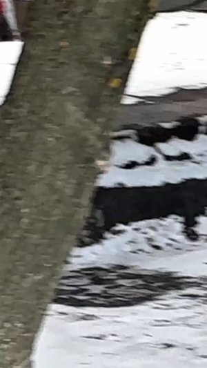 УБИТЬ ХОТЯТ МЕНЯ…