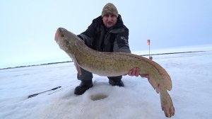 Рыбалка на налима жерлицами. Секрет рыбалки как поймать налима.