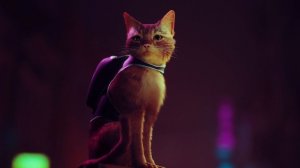 😭играю в стрей на стриме ИГРА ПРО КОТИКА !осторожно очень грустно😣