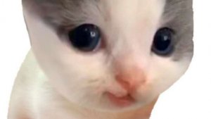 просто Стрим