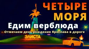 Едим верблюда 🐫 День рождения в дороге! 🎂 Лучшие кафе Волгограда и Элисты! 🍽️🚗