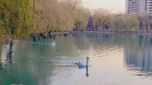 А вдруг я сюда больше не вернусь😪гуляем по Владикавказу (архивные видео)