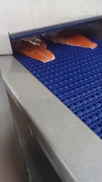 NKR-296, инъектор для рыбы