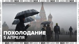 Похолодание вернется в Москву 5 апреля - Москва 24