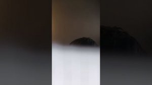 подписчики задают задания