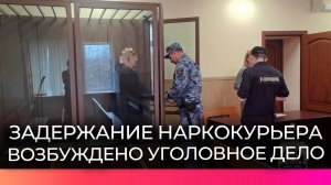 Полицейские задержали наркокурьера в Новгородском округе