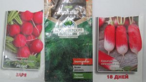 Зелень в теплице