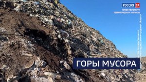 ВЕСТИ 24  Санкт-Петербург от 03.04.2026