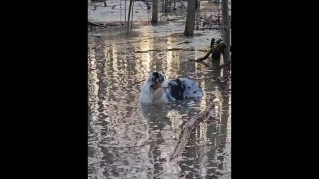 Все нормально супер гут!