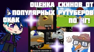 ☝️🤓оценка скинов популярных рутуберов по чикен Гану😎 #чг #реки