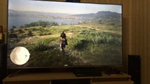 Red Dead Redemption 2 Hisense H65A6500