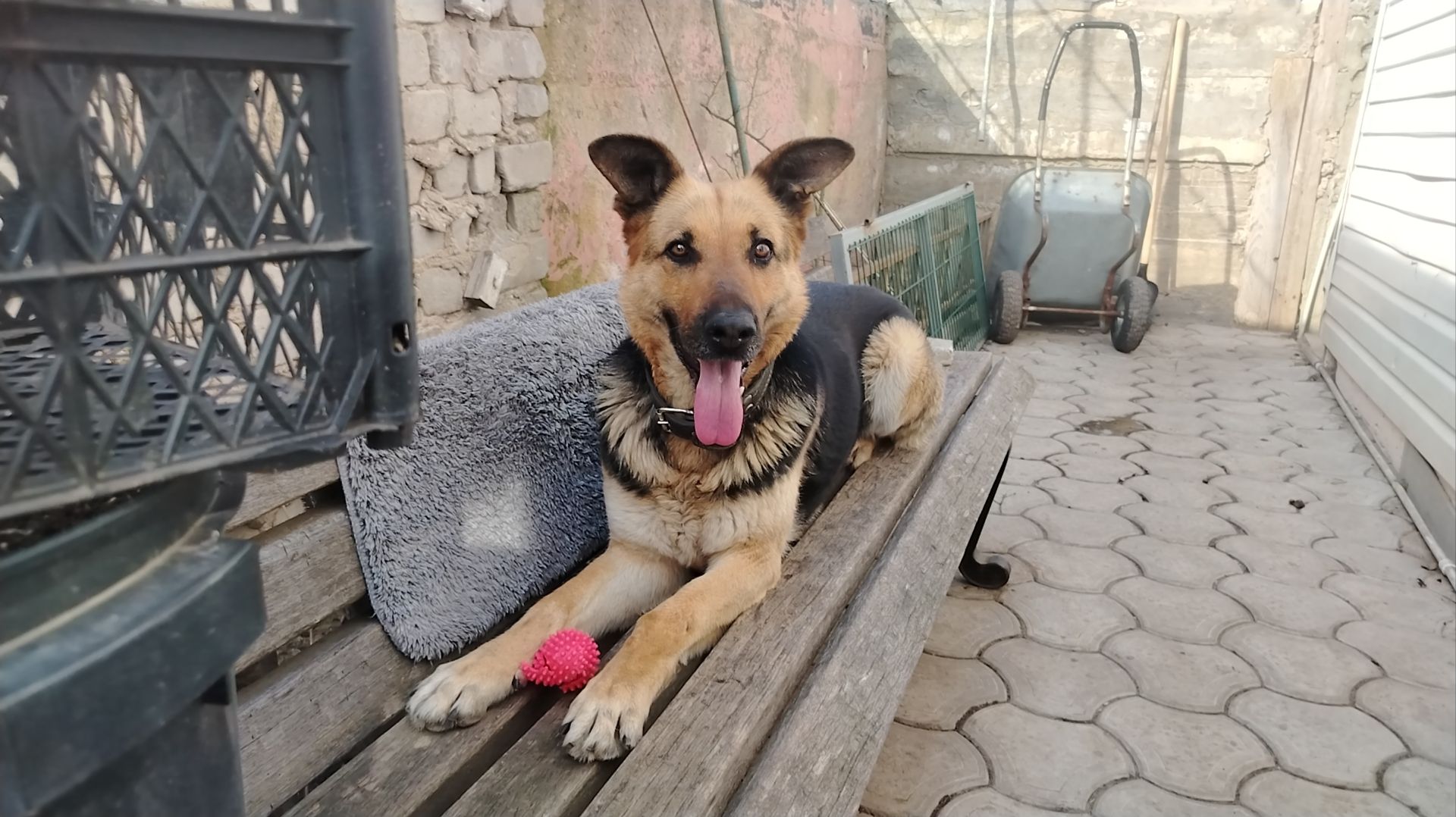 на позитиве