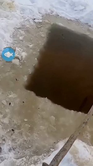 Видео от За Трофеем: Охота и Рыбалка