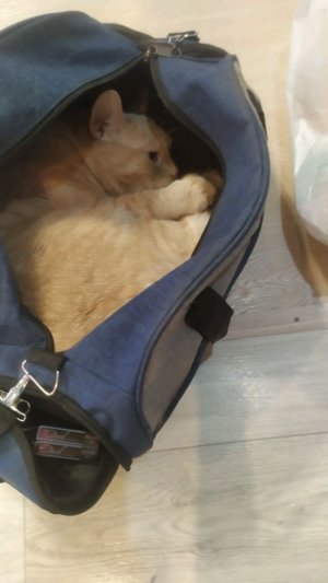 какяадиваюсь