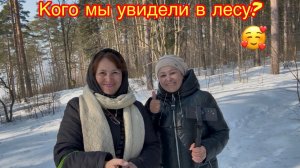 В лесу  увидели чудеса природы 🐦⬛❄️😍🤩🥰