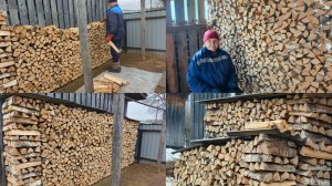 Переложили сухие дрова ,прибралась в дровеннике ,пересадила петунии .